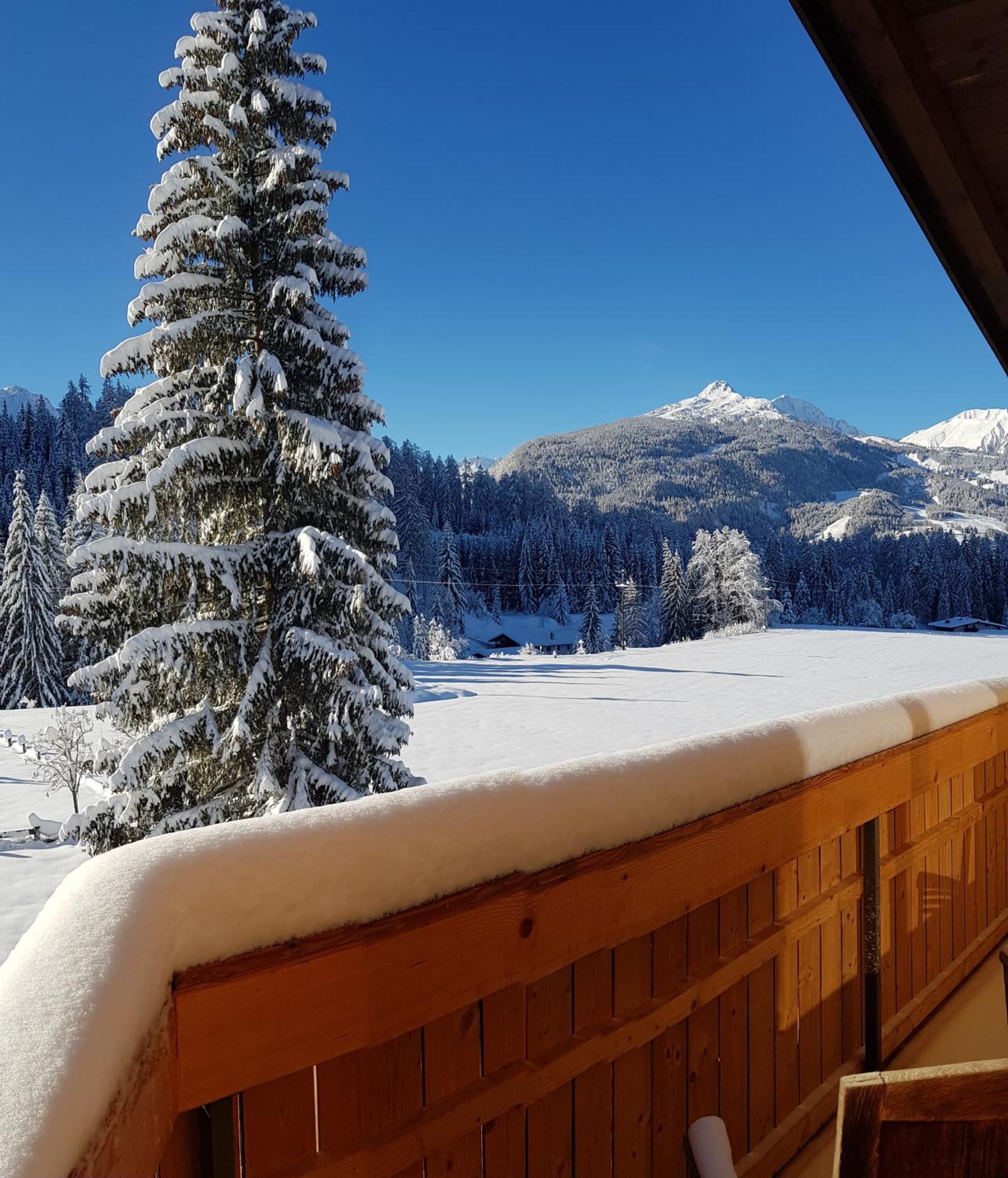 Gaestehaus Schoeneweiss Ehrwald Kültér fotó