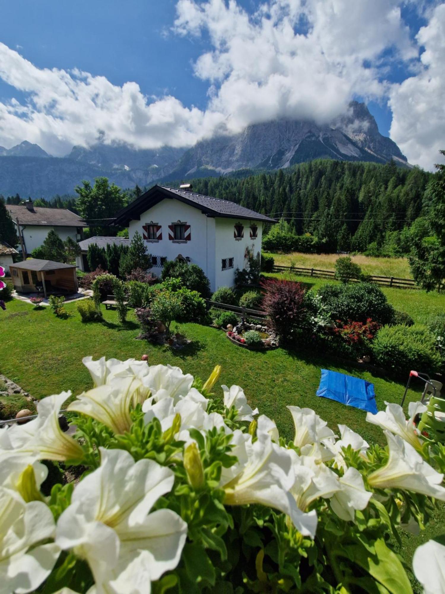 Gaestehaus Schoeneweiss Ehrwald Kültér fotó