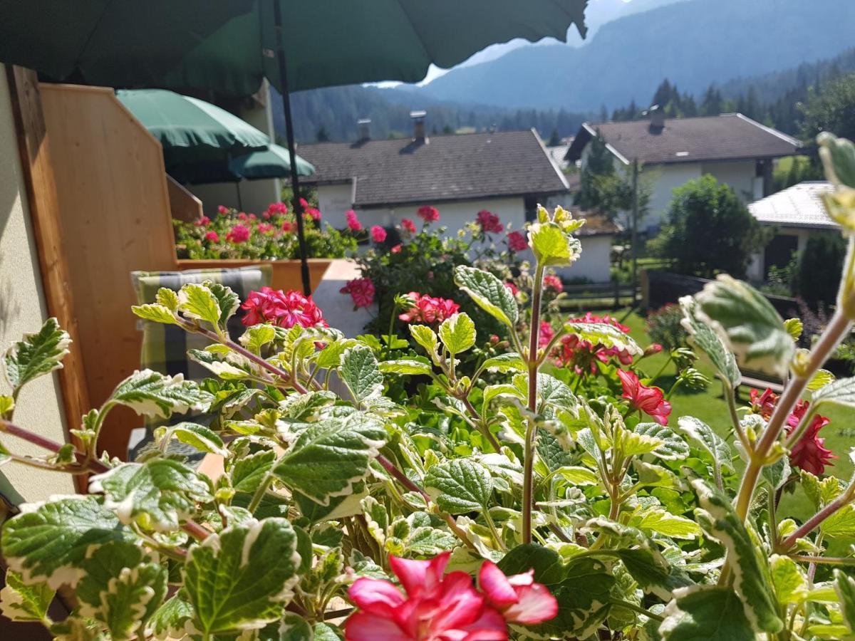 Gaestehaus Schoeneweiss Ehrwald Kültér fotó